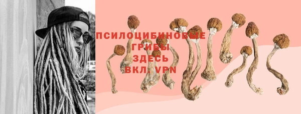 spice Беломорск