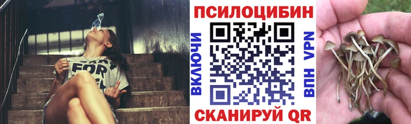 Псилоцибиновые грибы прущие грибы  Торопец 